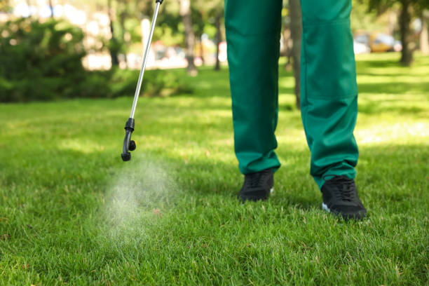 Best Best Pest Control Companies  in Niagara, WI