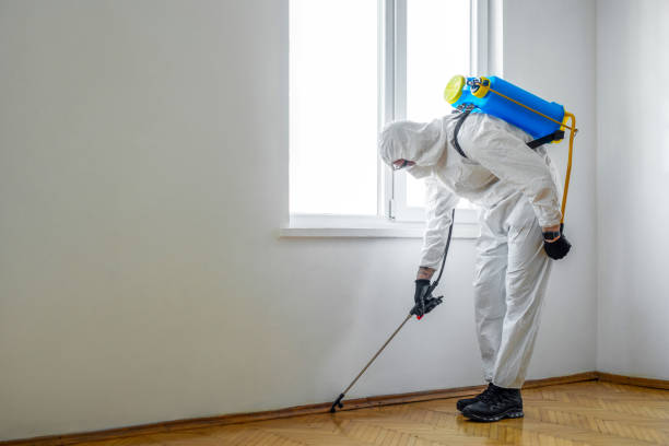 Best Cockroach Control Services  in Niagara, WI