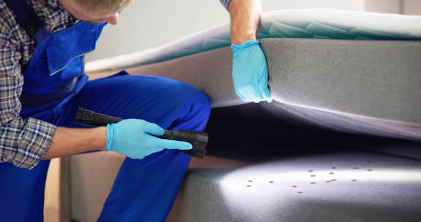 Best Termite Control Services  in Niagara, WI
