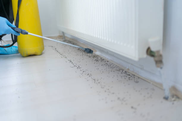 Best Affordable Pest Control Services  in Niagara, WI
